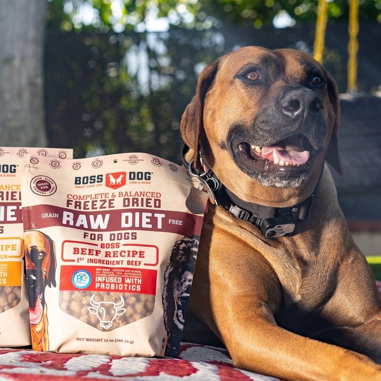 Happy dog poses with Boss Dog freeze-dried raw diet bags